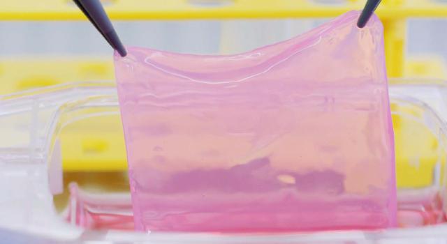 Swiss Startup - CUTISS Product Image