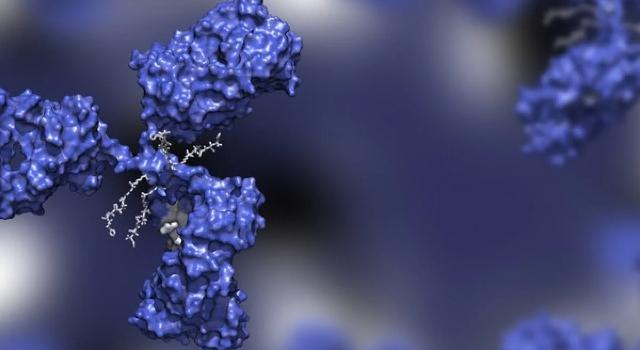 Swiss Startup - Araris Biotech Additional Image