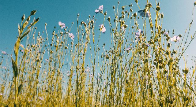 Swiss Startup - Bcomp Additional Image