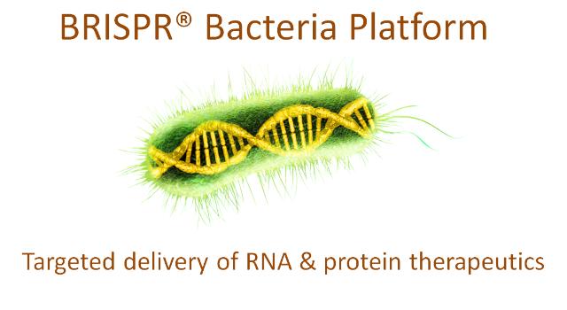 Swiss Startup - Redbiotec Product Image